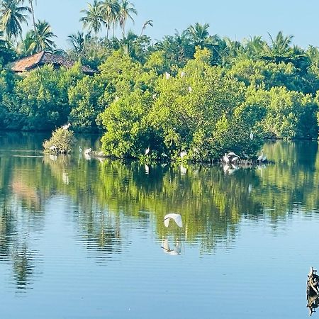 Eagles Nest Cabanas Hotel Tangalle Buitenkant foto