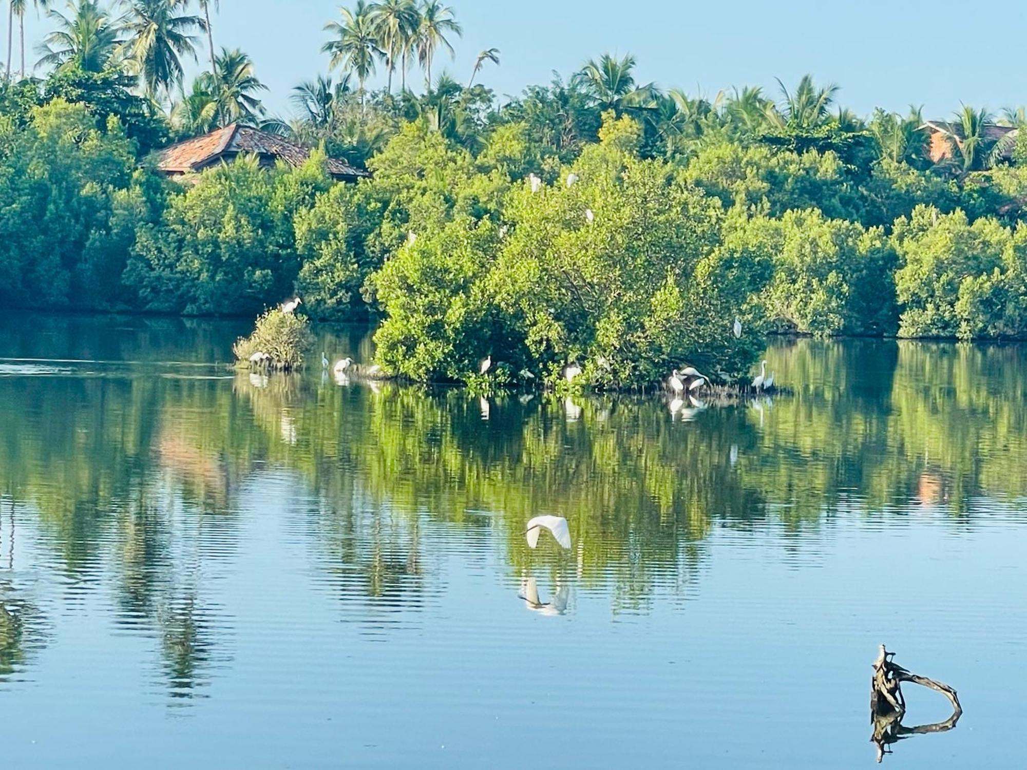 Eagles Nest Cabanas Hotel Tangalle Buitenkant foto